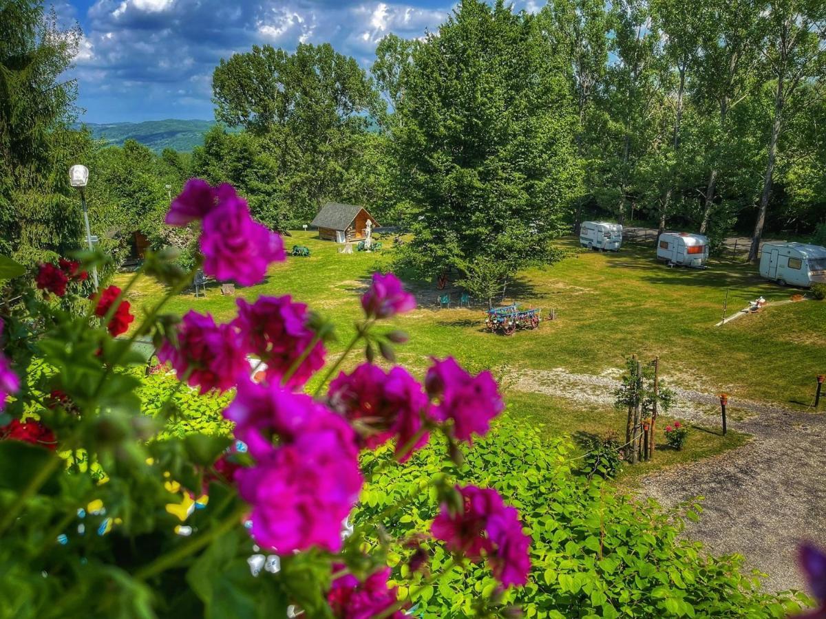 Camping Dragoske Ciofrîngeni 外观 照片