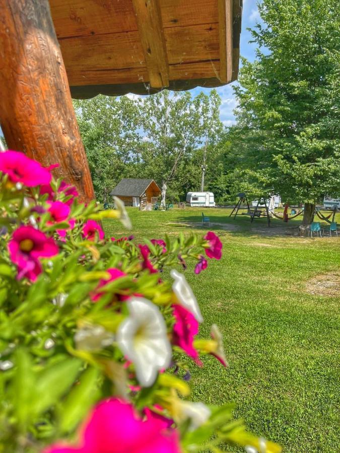 Camping Dragoske Ciofrîngeni 外观 照片