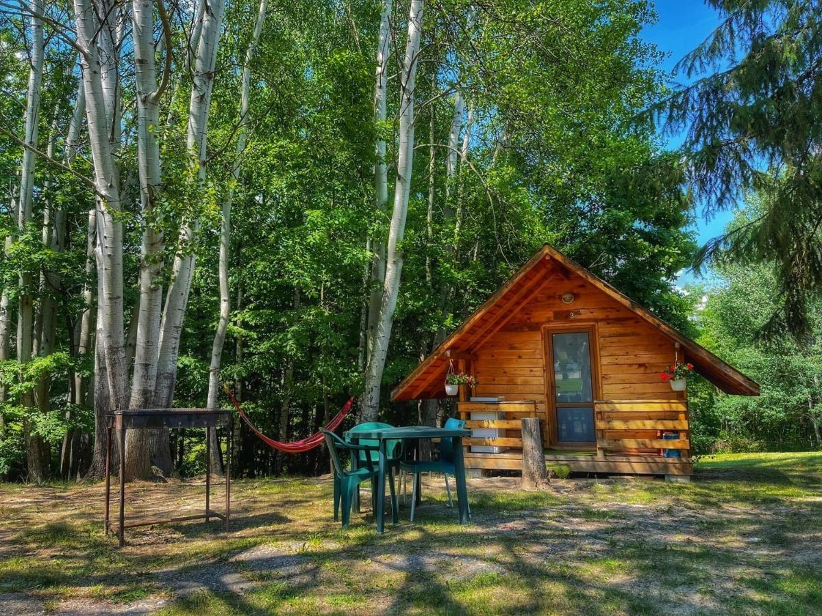 Camping Dragoske Ciofrîngeni 外观 照片