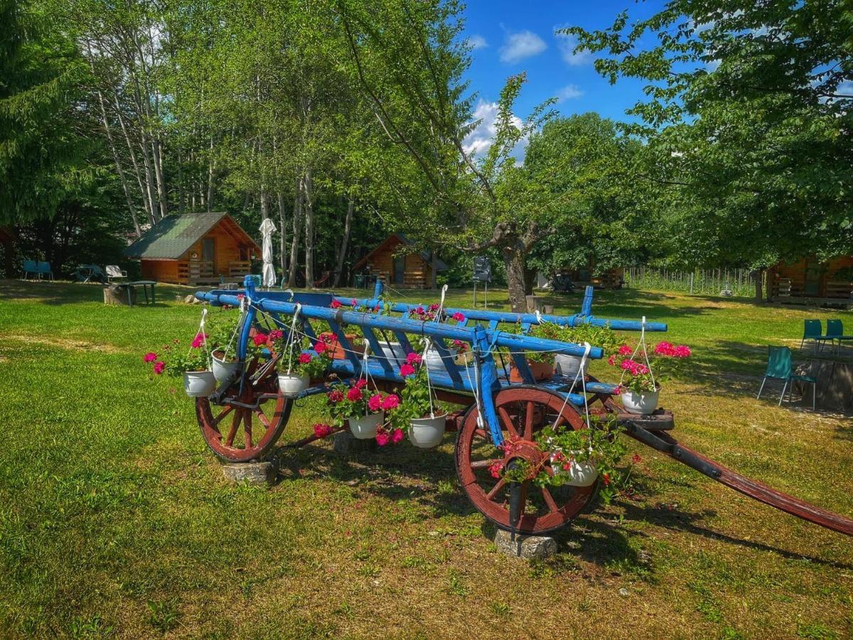 Camping Dragoske Ciofrîngeni 外观 照片